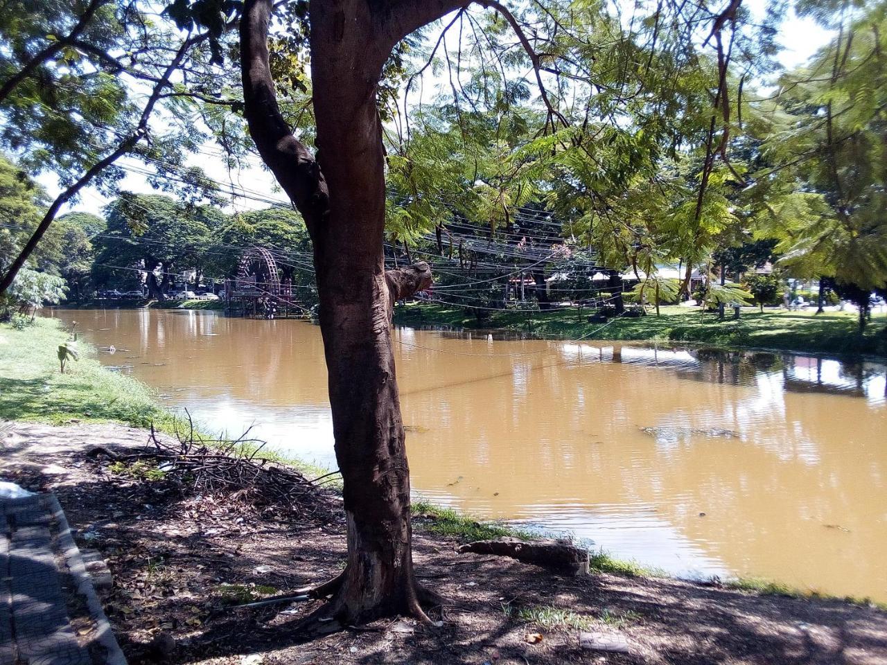 Mango Villa Siem Reap Exteriör bild