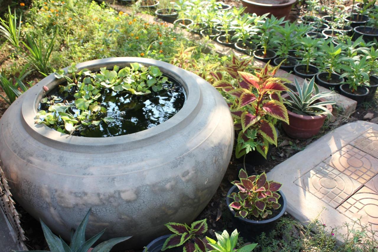 Mango Villa Siem Reap Exteriör bild