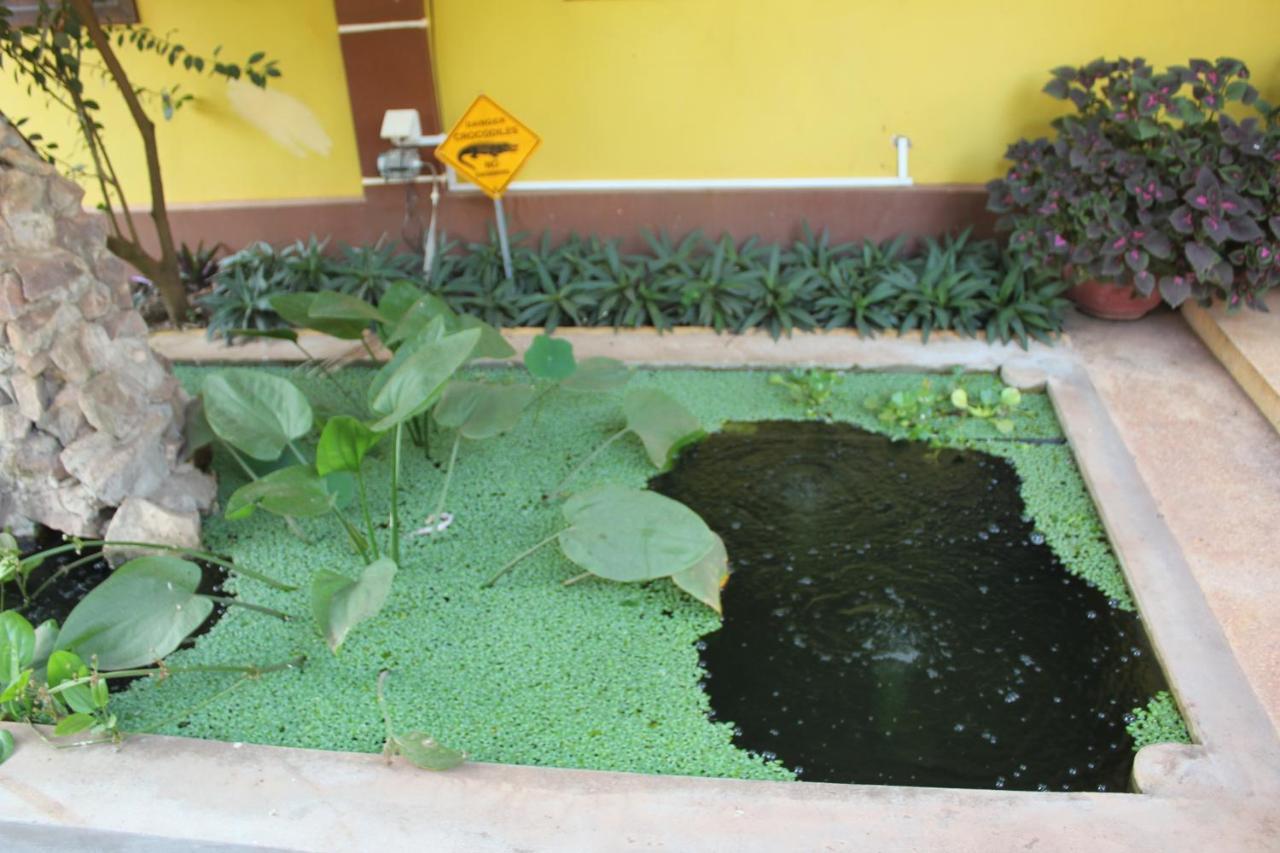 Mango Villa Siem Reap Exteriör bild